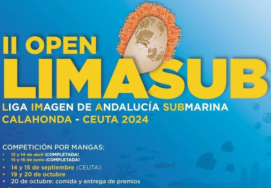 descarga