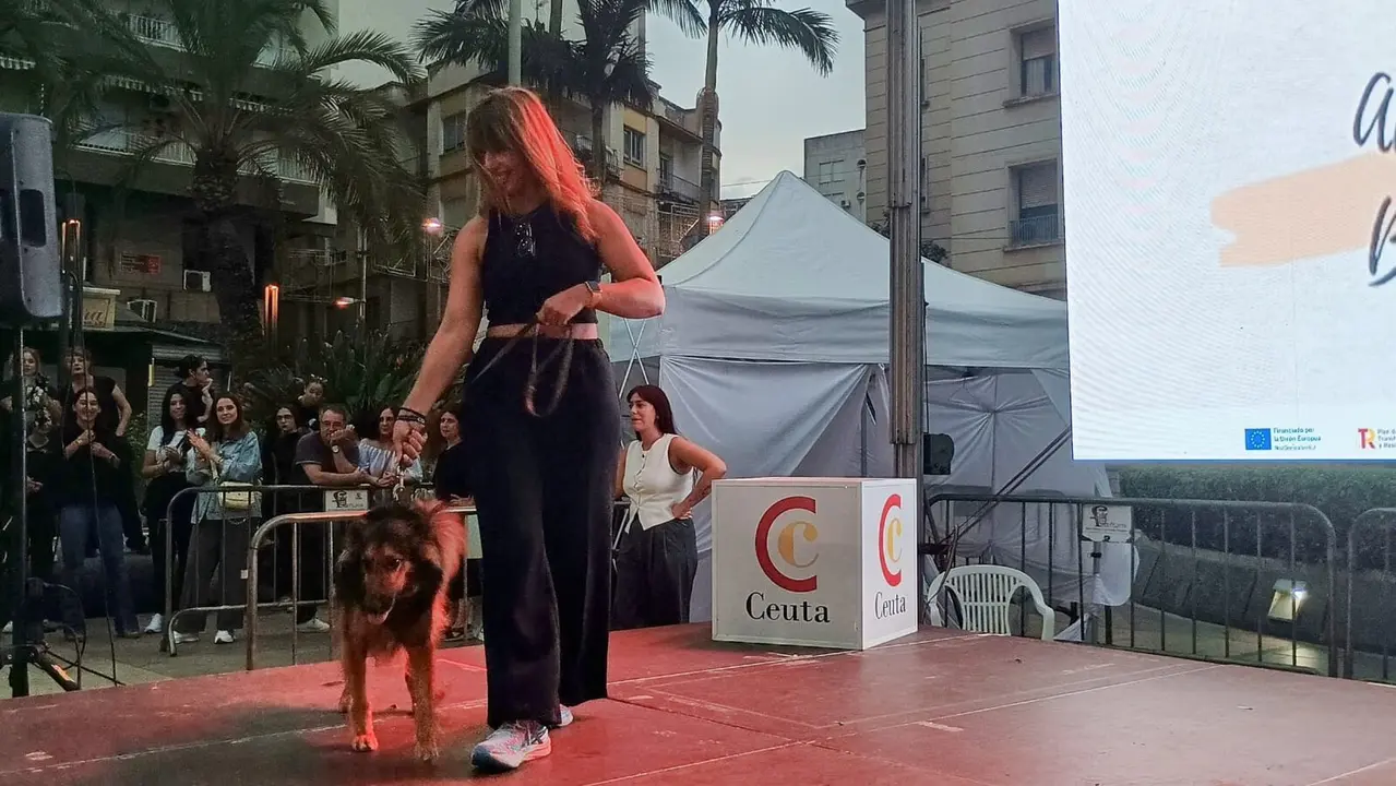 Desfile 'casual' en la Semana del Comercio