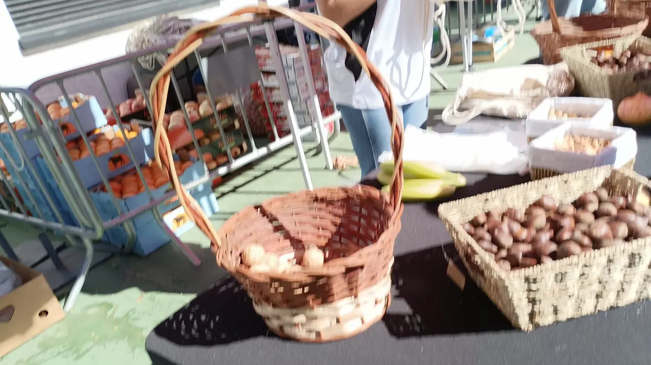 Fiesta Mi Mochila, auditorio de La Marina