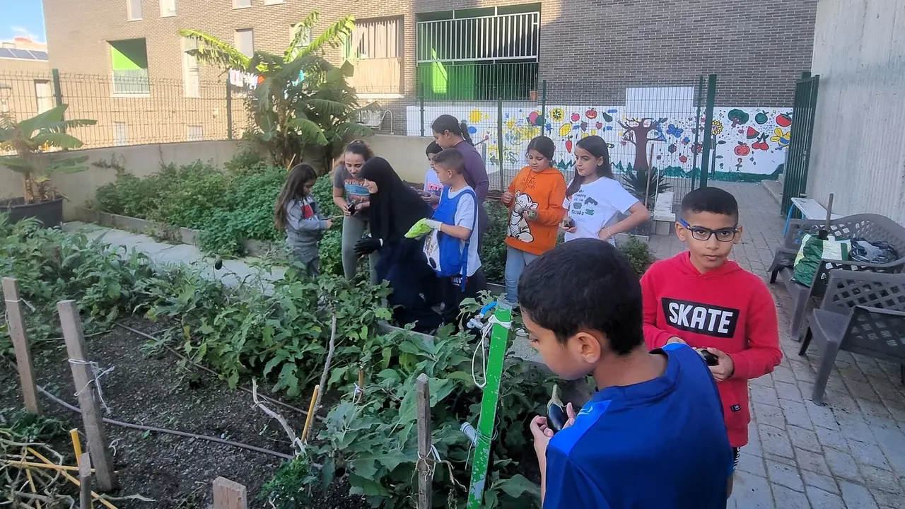 Fundaci&oacute;n Cruz Blanca y Huerto de Loma Colmenar: sembrando valores en la infancia