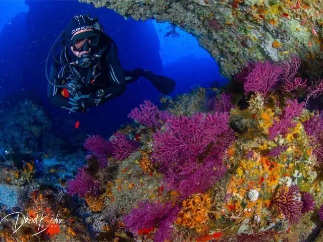 Paisajes submarinos / Archivo 