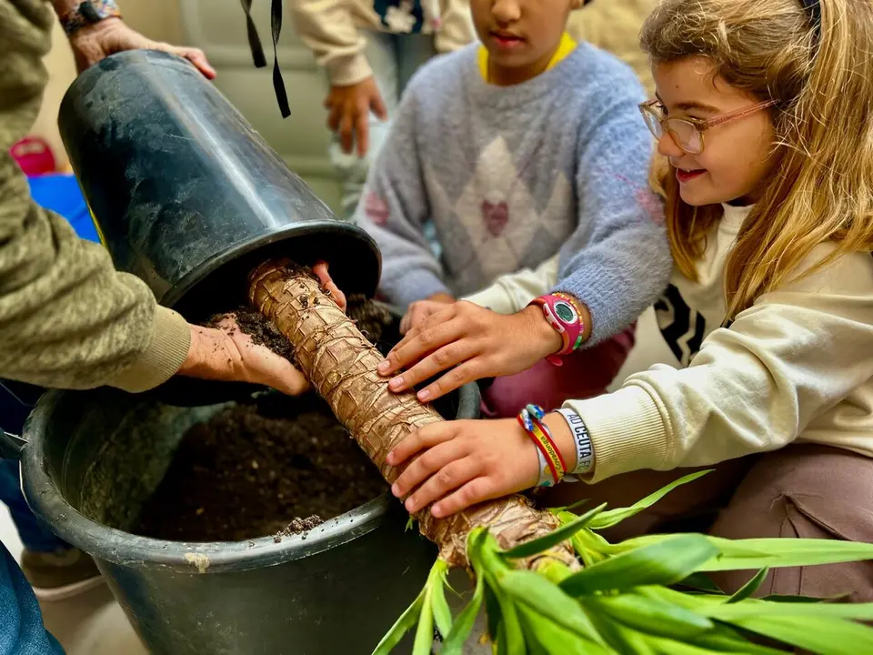 Alumnos del CEIP Lope de Vega, &aacute;rbol / E. Arteaga