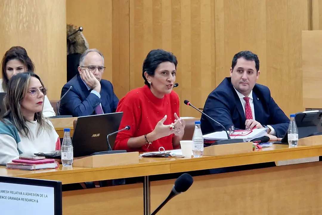  La consejera de Hacienda, Kissy Chandiramani, ha sido la encargada de defender esta propuesta / Laura Ortiz 