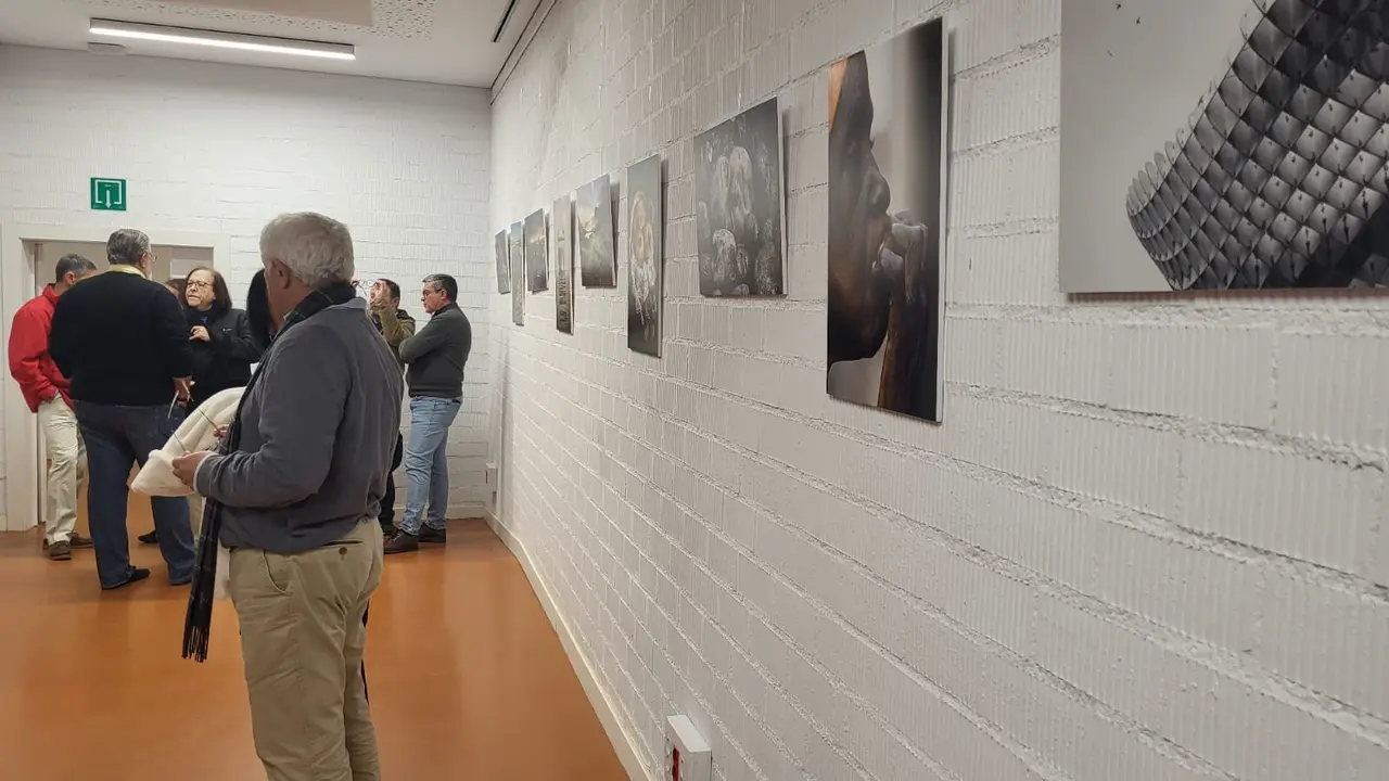 Exposici&oacute;n de Miradas en la biblioteca Miguel &Aacute;ngel Blanco