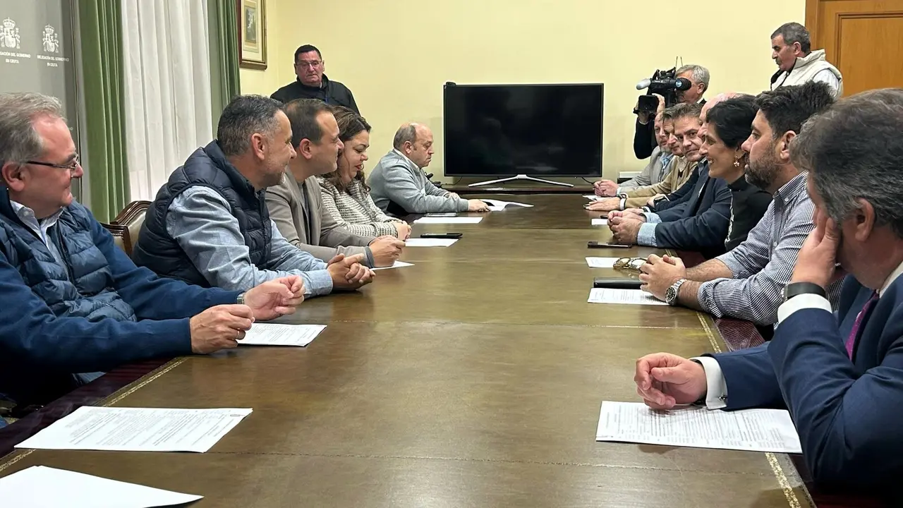 Reuni&oacute;n Delegaci&oacute;n del Gobierno, C&aacute;mara de Comercio, CECE, Agentes Transitarios y Ciudad para la aduana comercial / E.A.