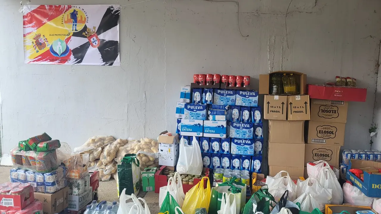 Recogida de alimentos en el Benoliel / S.I.