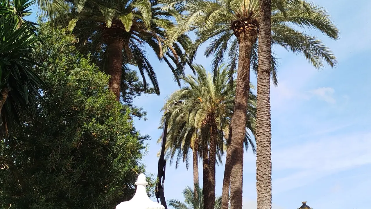 Trabajos, semana santa, jardines, plaza de &Aacute;frica, preparativos / S. I&ntilde;esta