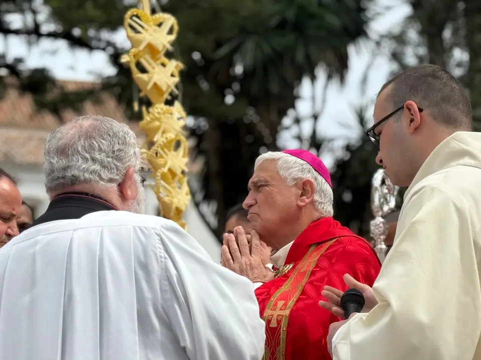 Bendici&oacute;n de palmas / M.Zapico
