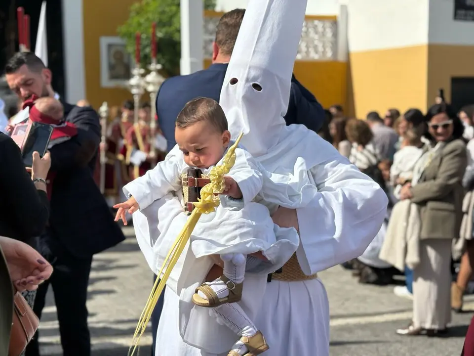 Pollinica