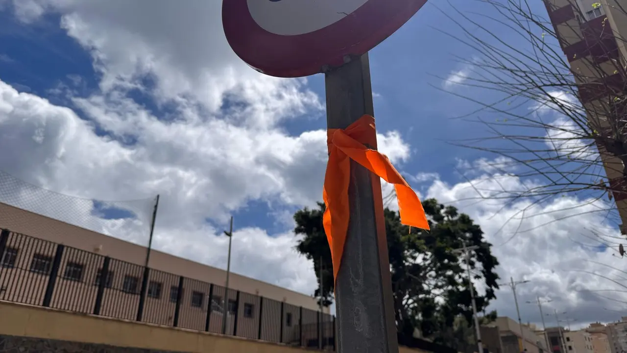 Los lazos naranjas en homenaje a la dignidad animal han desaparecido de las calles de Ceuta / E.Arteaga