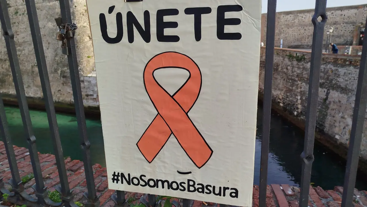 Lazo naranja mascotas