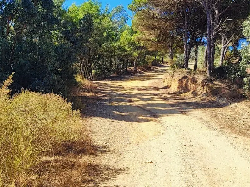  Garc&iacute;a Aldave / Archivo 