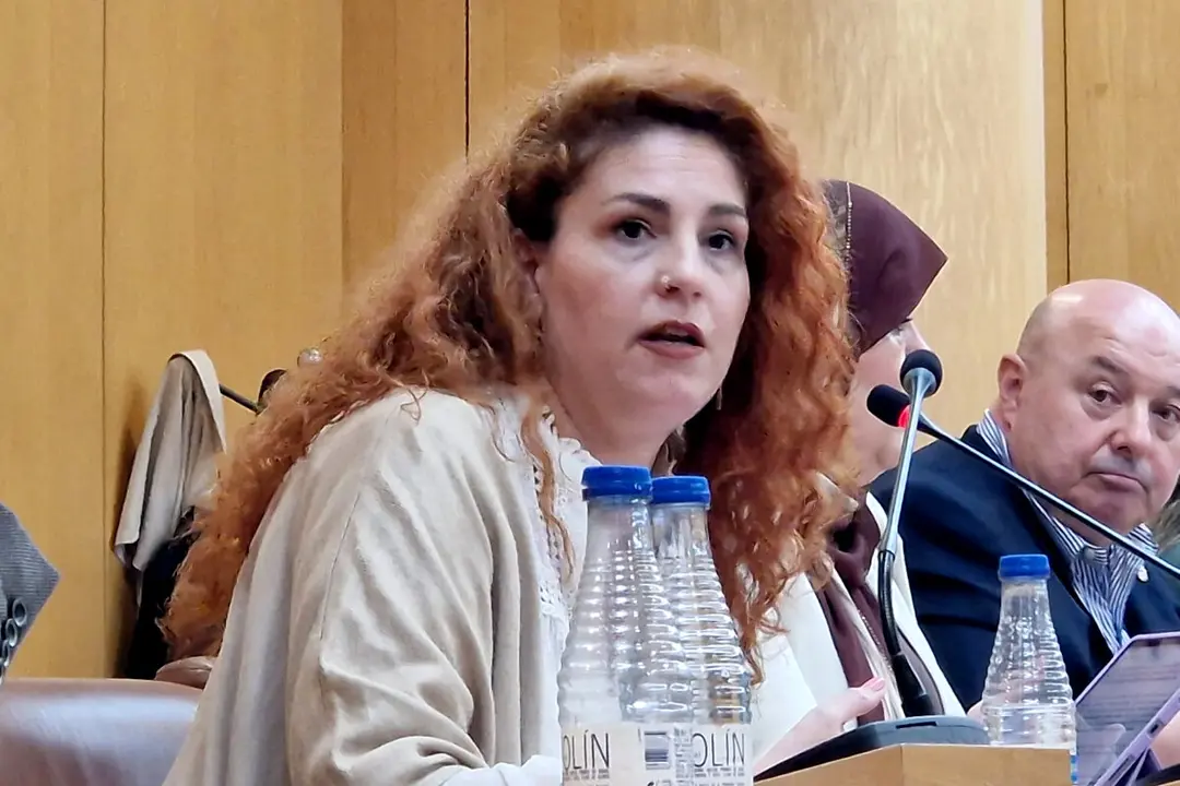  La diputada Julia Ferreras durante su intervenci&oacute;n de este mi&eacute;rcoles / Laura Ortiz 