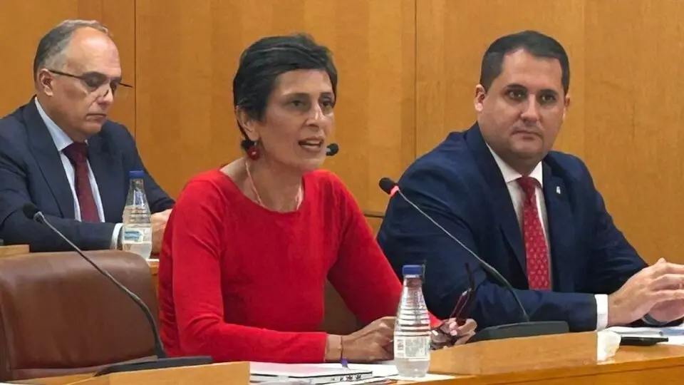  Chandiramani durante una de sus intervenciones en el Pleno de este lunes. 
