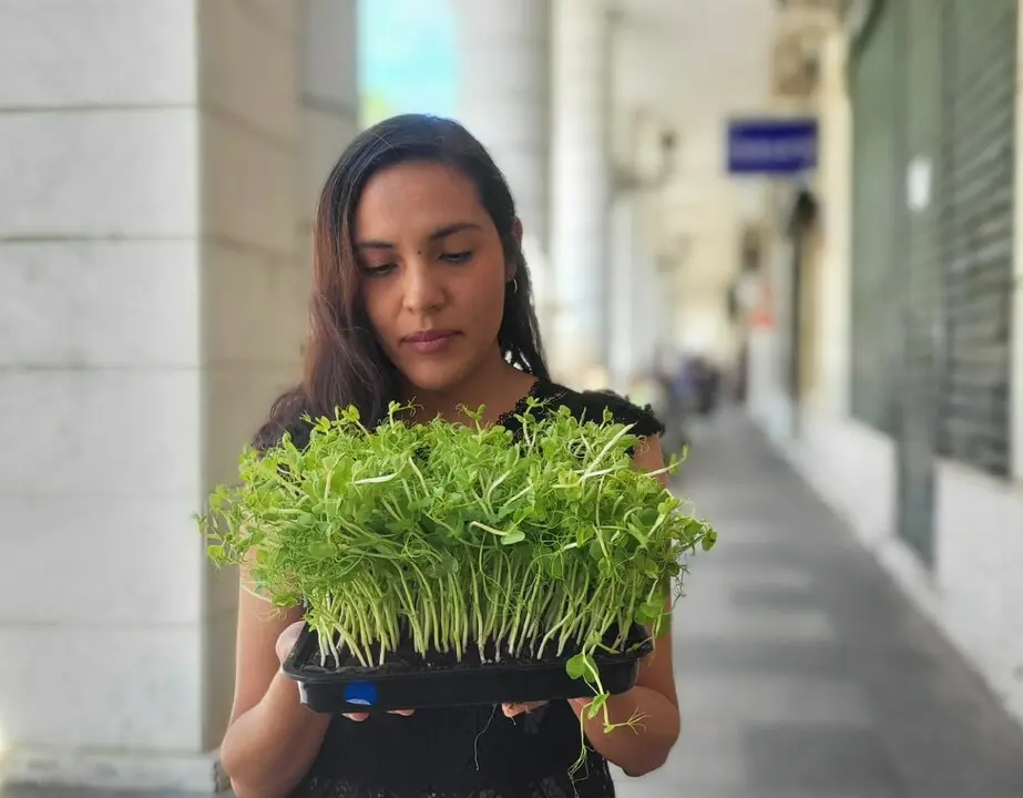Mila Gallegos, de Thallo Microgreens
