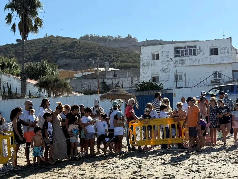 Liberaci&oacute;n tortuga marina CECAM / M.Zapico