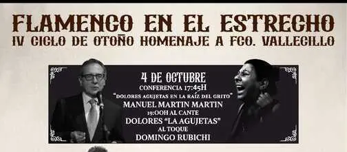 flamenco en el estrecho