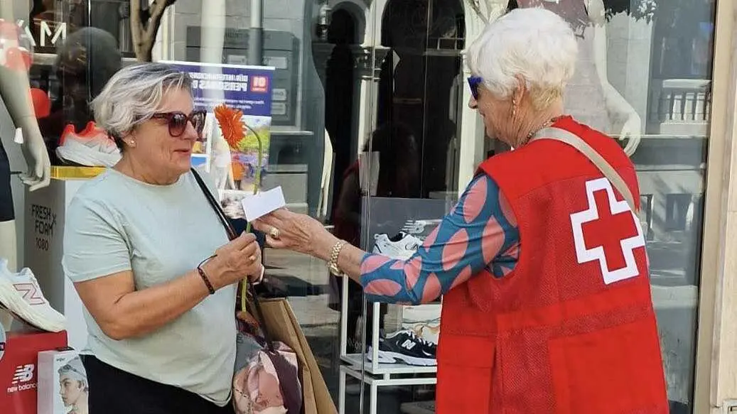 D&iacute;a Internacional de las Personas de Edad / C.R.