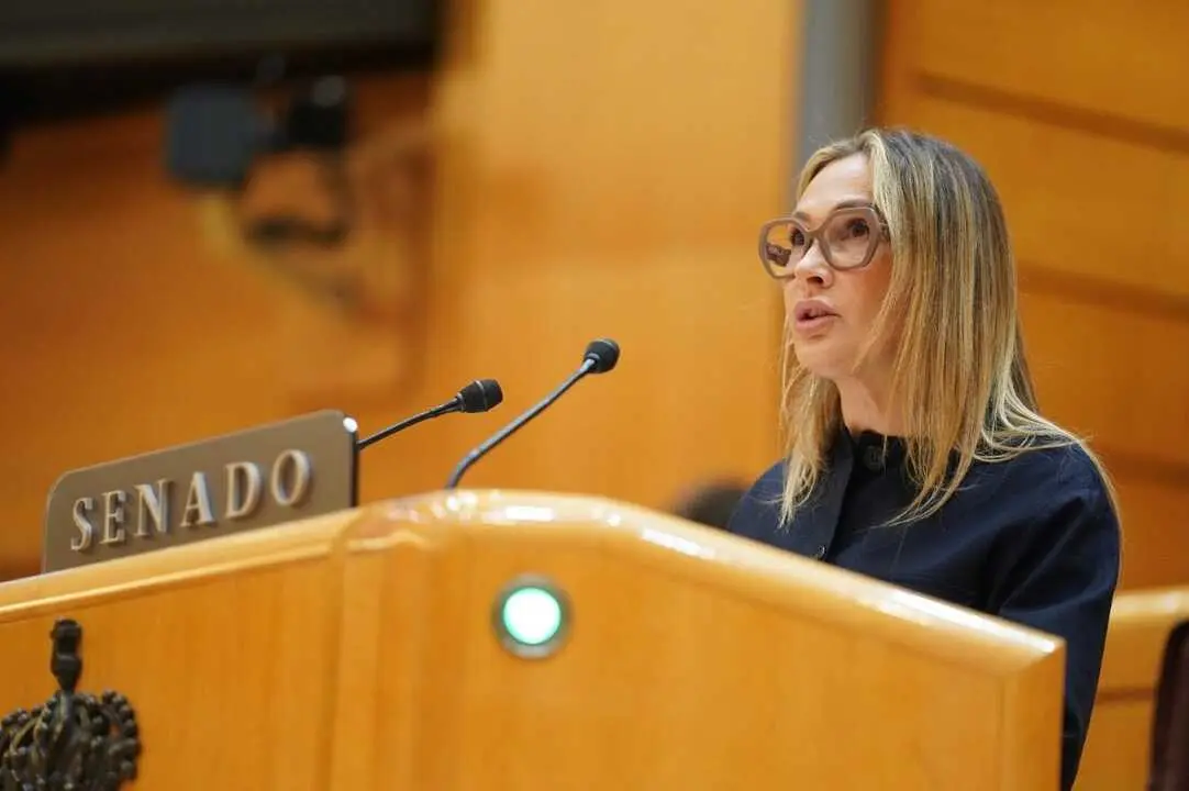 Cristina D&iacute;az en el Senado / Cedida