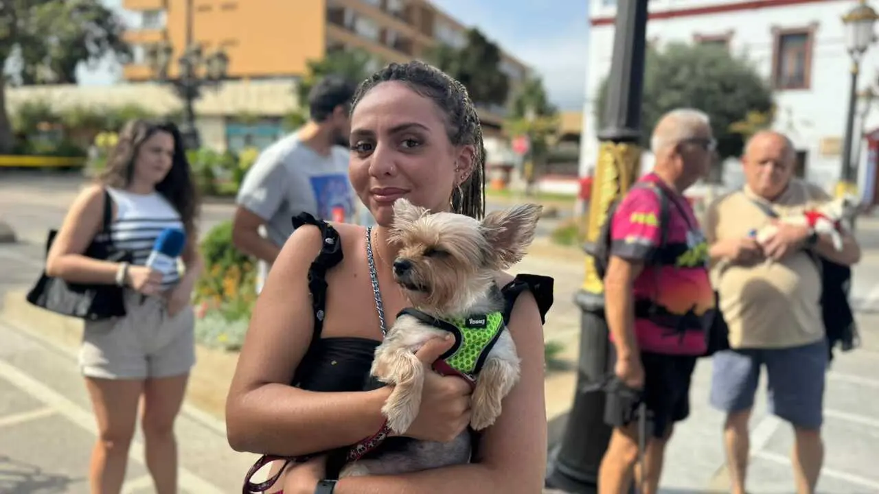 Bendici&oacute;n de San Daniel a los animales / E. Arteaga