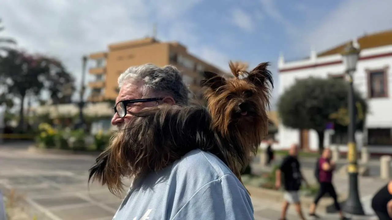 Bendici&oacute;n de San Daniel a los animales / E. Arteaga