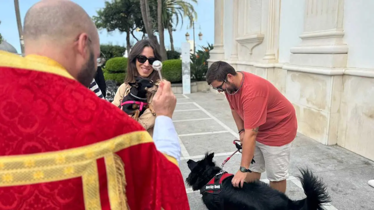 Bendici&oacute;n de San Daniel a los animales / E. Arteaga