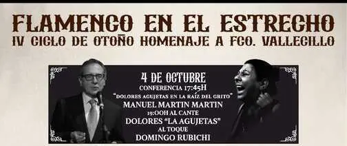 flamenco en el estrecho