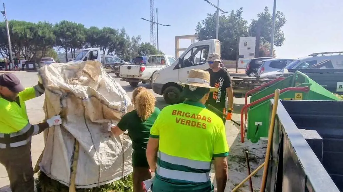 Brigadas verdes
