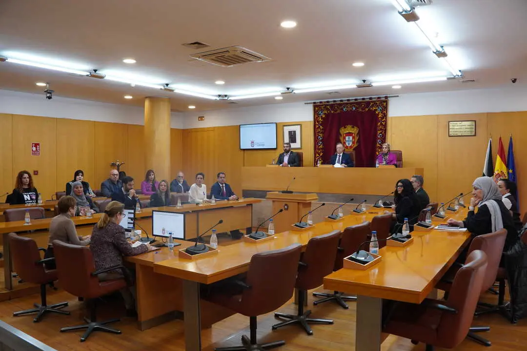 Pleno Violencia de G&eacute;nero