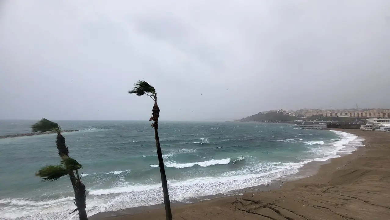 Viento temporal