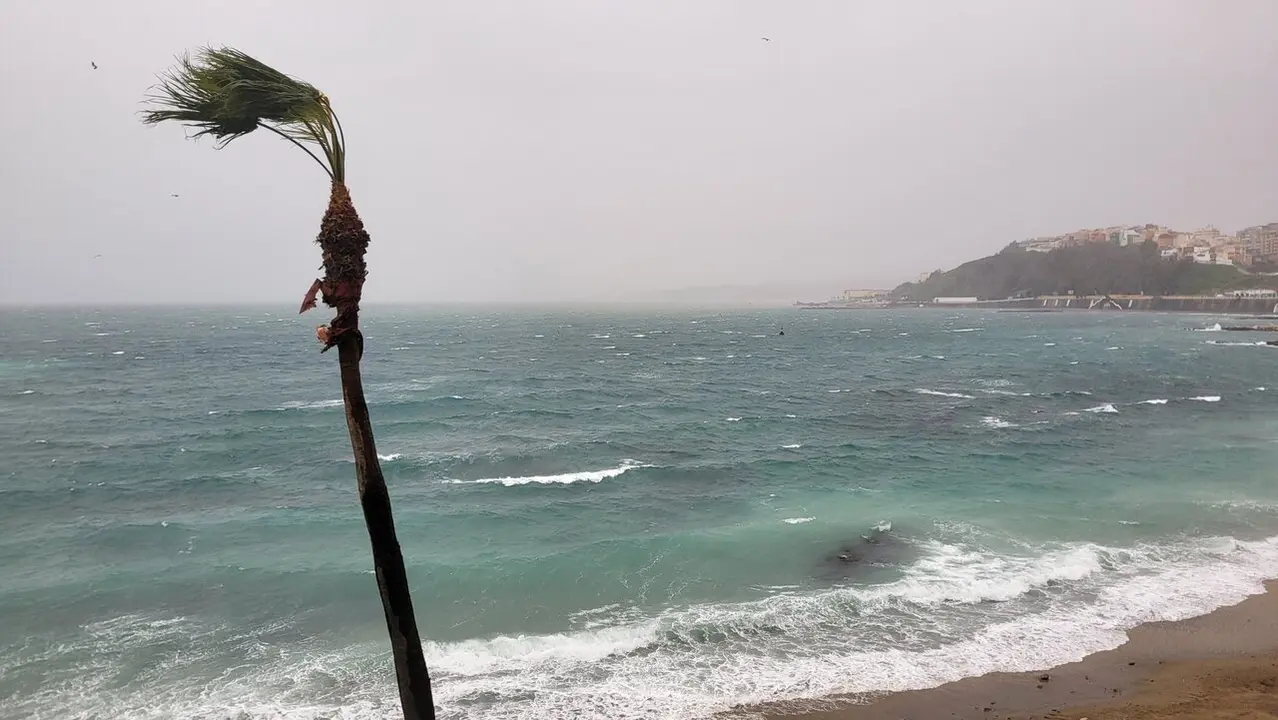 Temporal viento olas