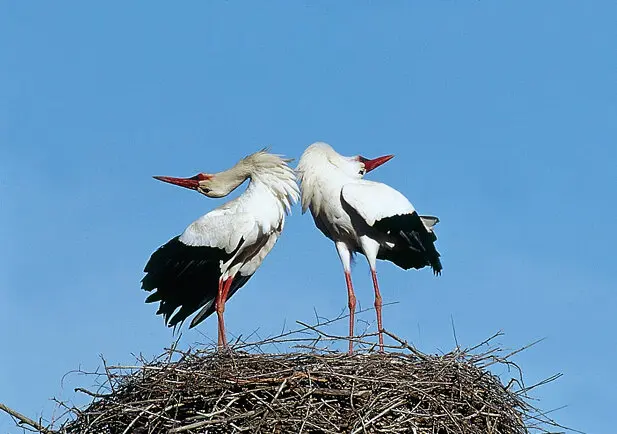 F121_Foto_03