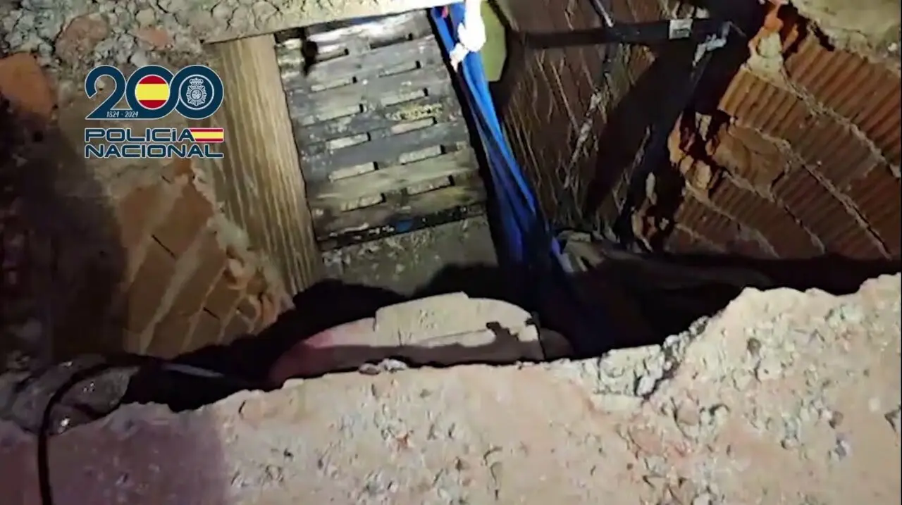 Narcot&uacute;nel / Policia Nacional (Cedida)