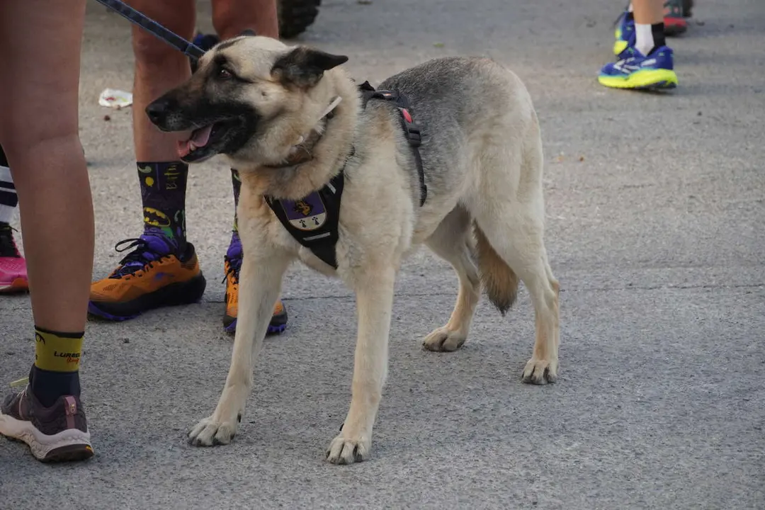 Trail Los Fuertes 2026&nbsp;/ M.Zapico