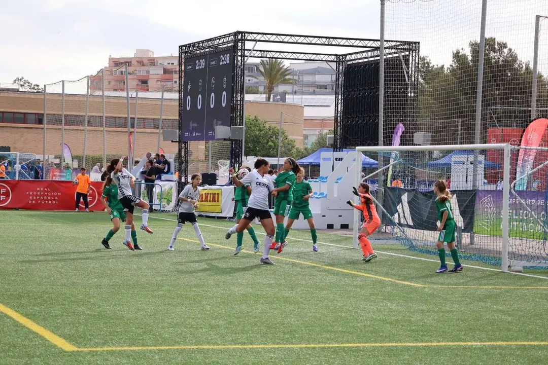 Campeonato de Espa&ntilde;a Sub-12 en Benidorm / RFFCE