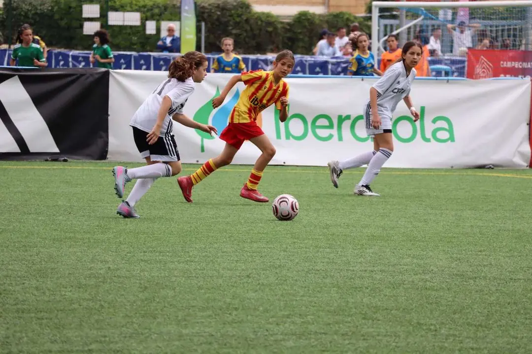 Campeonato de Espa&ntilde;a Sub-12 en Benidorm / RFFCE