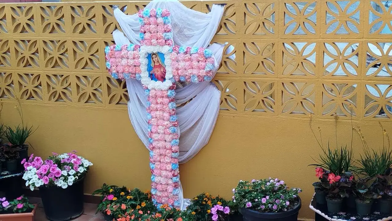 Fiesta de la Primavera para mayores / S.I