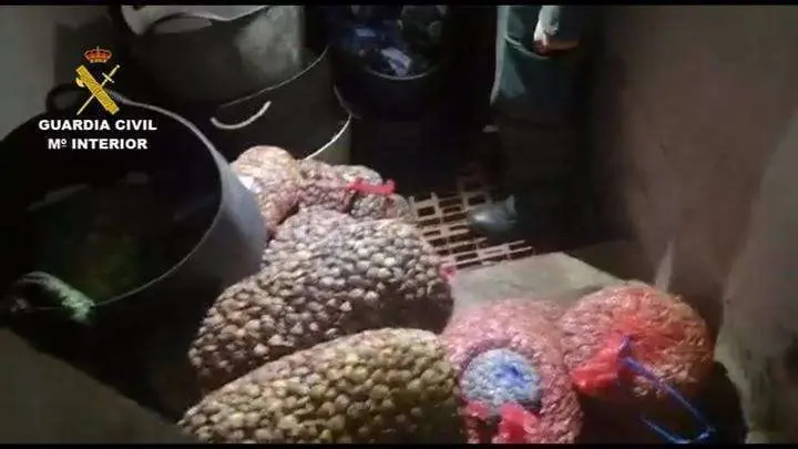 La Guardia Civil intensifica la vigilancia para incentivar la seguridad agroalimentaria en Navidad