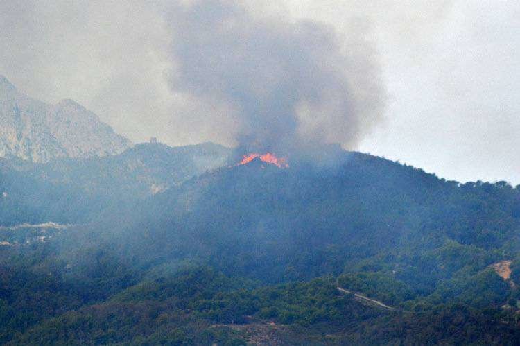 11 de la mañana, se declara el incendio en las inmediaciones del Monte de la Tortuga