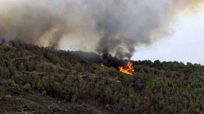 Imagen del incendio declarado en el Monte de la Tortuga en 2015 (C.A./ARCHIVO)