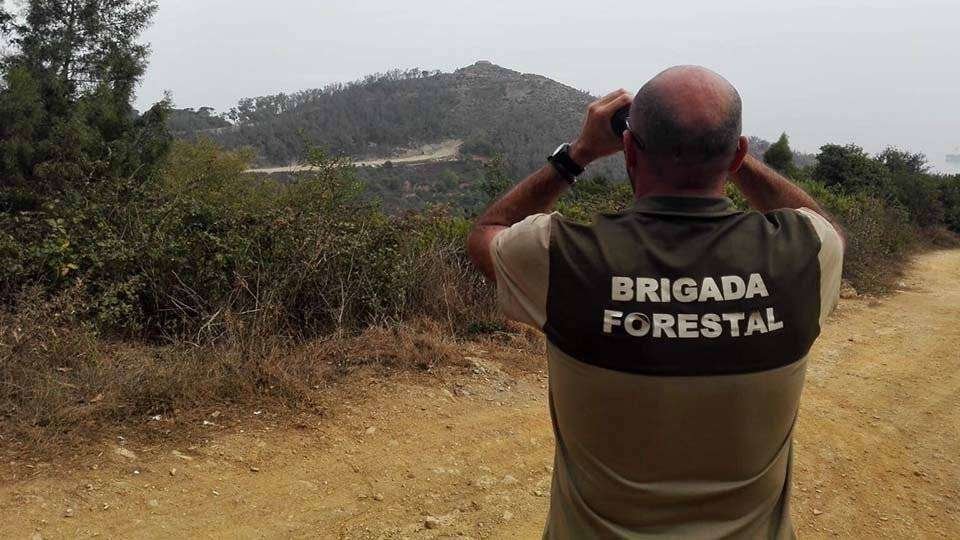 Un guarda forestal vigila una zona de monte (C.A.)