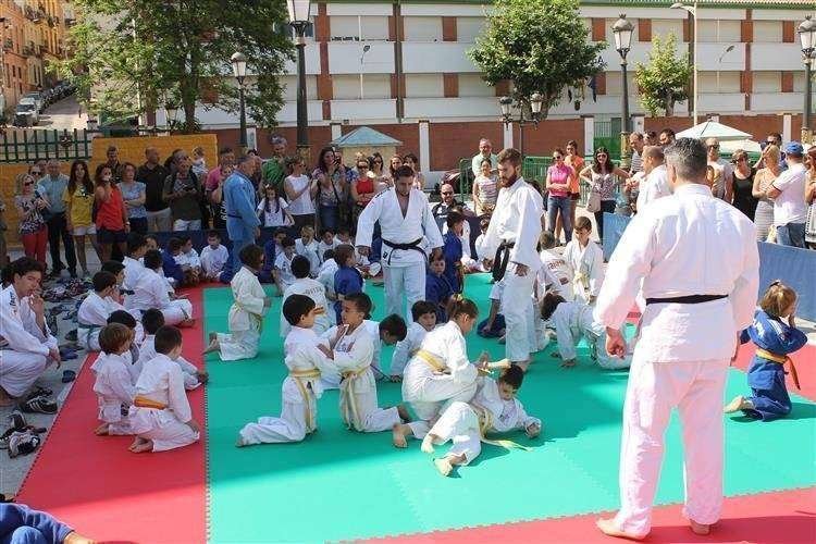 judo (Custom)