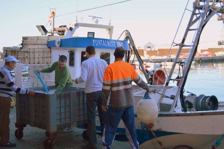 Pesquero Ceuta