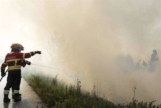 Más de 600 bomberos tratan de controlar un incendio en el centro de Portugal