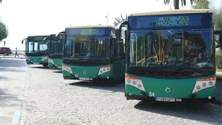 Flota de autobuses de la empresa Had&uacute;-Almadraba (C.A.)