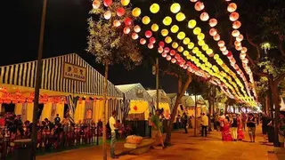 feria  dd