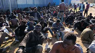 migrantes