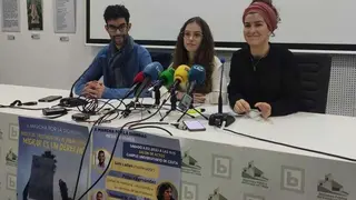 descarga (3)