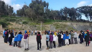 scouts