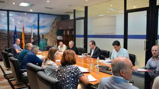 reuni&oacute;n comisi&oacute;n t&eacute;cnica bonificaciones cuotas empresariales seguridad social